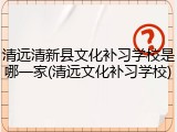 清远清新县文化补习学校是哪一家(清远文化补习学校)
