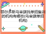 鄂尔多斯乌审旗找单招集训的机构有哪些(乌审旗单招机构)