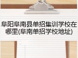 阜阳阜南县单招集训学校在哪里(阜南单招学校地址)