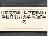 红花岗在哪可以学挖机哪个学校好(红花岗学挖机好学校)