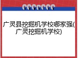 广灵县挖掘机学校哪家强(广灵挖掘机学校)