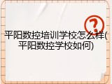平阳数控培训学校怎么样(平阳数控学校如何)