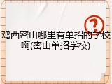 鸡西密山哪里有单招的学校啊(密山单招学校)