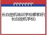 长白挖机培训学校哪家好(长白挖机学校)