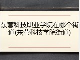 东营科技职业学院在哪个街道(东营科技学院街道)