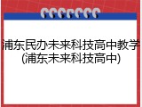 浦东民办未来科技高中教学(浦东未来科技高中)