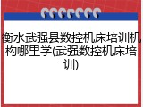 衡水武强县数控机床培训机构哪里学(武强数控机床培训)
