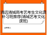 清远清城高考艺考生文化课补习班推荐(清城艺考文化课班)