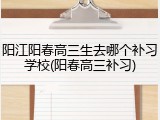 阳江阳春高三生去哪个补习学校(阳春高三补习)