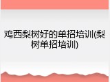 鸡西梨树好的单招培训(梨树单招培训)