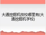 大通挖掘机技校哪里有(大通挖掘机学校)