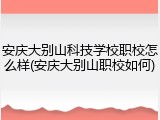 安庆大别山科技学校职校怎么样(安庆大别山职校如何)