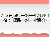 河源东源县一对一补习班价格(东源县一对一补课价)