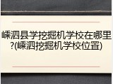 嵊泗县学挖掘机学校在哪里?(嵊泗挖掘机学校位置)