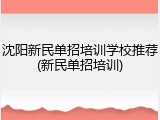 沈阳新民单招培训学校推荐(新民单招培训)