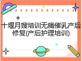 十堰月嫂培训无痛催乳产后修复(产后护理培训)