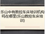 乐山中有数控车床培训机构吗在哪里(乐山数控车床培训)