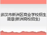 武汉市新洲区商业学校招生简章(新洲商校招生)