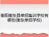 衡阳衡东县单招集训学校有哪些(衡东单招学校)