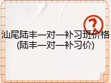 汕尾陆丰一对一补习班价格(陆丰一对一补习价)
