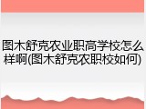 图木舒克农业职高学校怎么样啊(图木舒克农职校如何)