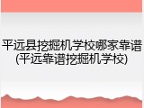 平远县挖掘机学校哪家靠谱(平远靠谱挖掘机学校)