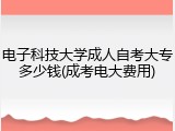电子科技大学成人自考大专多少钱(成考电大费用)