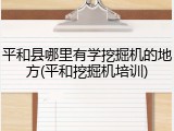 平和县哪里有学挖掘机的地方(平和挖掘机培训)
