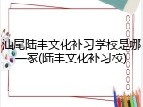 汕尾陆丰文化补习学校是哪一家(陆丰文化补习校)