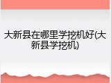 大新县在哪里学挖机好(大新县学挖机)