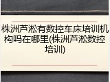 株洲芦淞有数控车床培训机构吗在哪里(株洲芦淞数控培训)