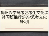 梅州兴宁高考艺考生文化课补习班推荐(兴宁艺考文化补习)
