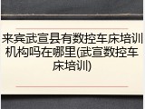 来宾武宣县有数控车床培训机构吗在哪里(武宣数控车床培训)