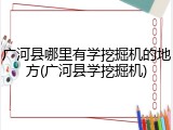 广河县哪里有学挖掘机的地方(广河县学挖掘机)