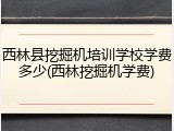 西林县挖掘机培训学校学费多少(西林挖掘机学费)