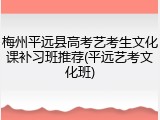 梅州平远县高考艺考生文化课补习班推荐(平远艺考文化班)