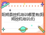 阳朔县挖机培训哪里有(阳朔挖机培训点)