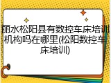 丽水松阳县有数控车床培训机构吗在哪里(松阳数控车床培训)