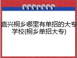 嘉兴桐乡哪里有单招的大专学校(桐乡单招大专)