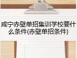 咸宁赤壁单招集训学校要什么条件(赤壁单招条件)
