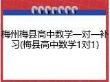 梅州梅县高中数学一对一补习(梅县高中数学1对1)