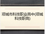 项城市科技职业高中(项城科技职高)