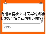 梅州梅县高考补习学校哪家比较好(梅县高考补习推荐)