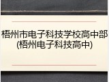 梧州市电子科技学校高中部(梧州电子科技高中)