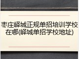 枣庄峄城正规单招培训学校在哪(峄城单招学校地址)