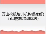 万山挖机培训机构哪家好(万山挖机培训优选)