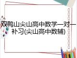 双鸭山尖山高中数学一对一补习(尖山高中数辅)
