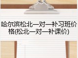 哈尔滨松北一对一补习班价格(松北一对一补课价)