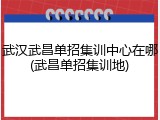 武汉武昌单招集训中心在哪(武昌单招集训地)