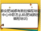 泰安肥城哪有数控编程培训中心中职怎么样(肥城数控编程培训)